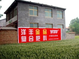 灌阳如何让墙体广告展现最大化效果