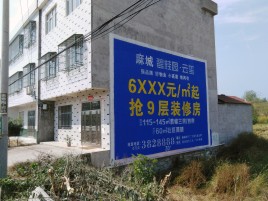 灌阳墙体广告质量分析