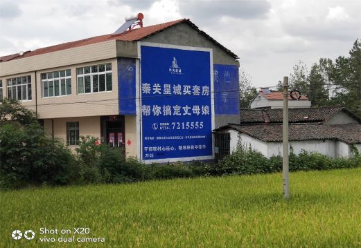 灌阳决定墙体广告价格的因素有哪些？