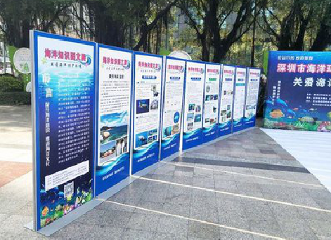 灌阳KT板的种类和知识。